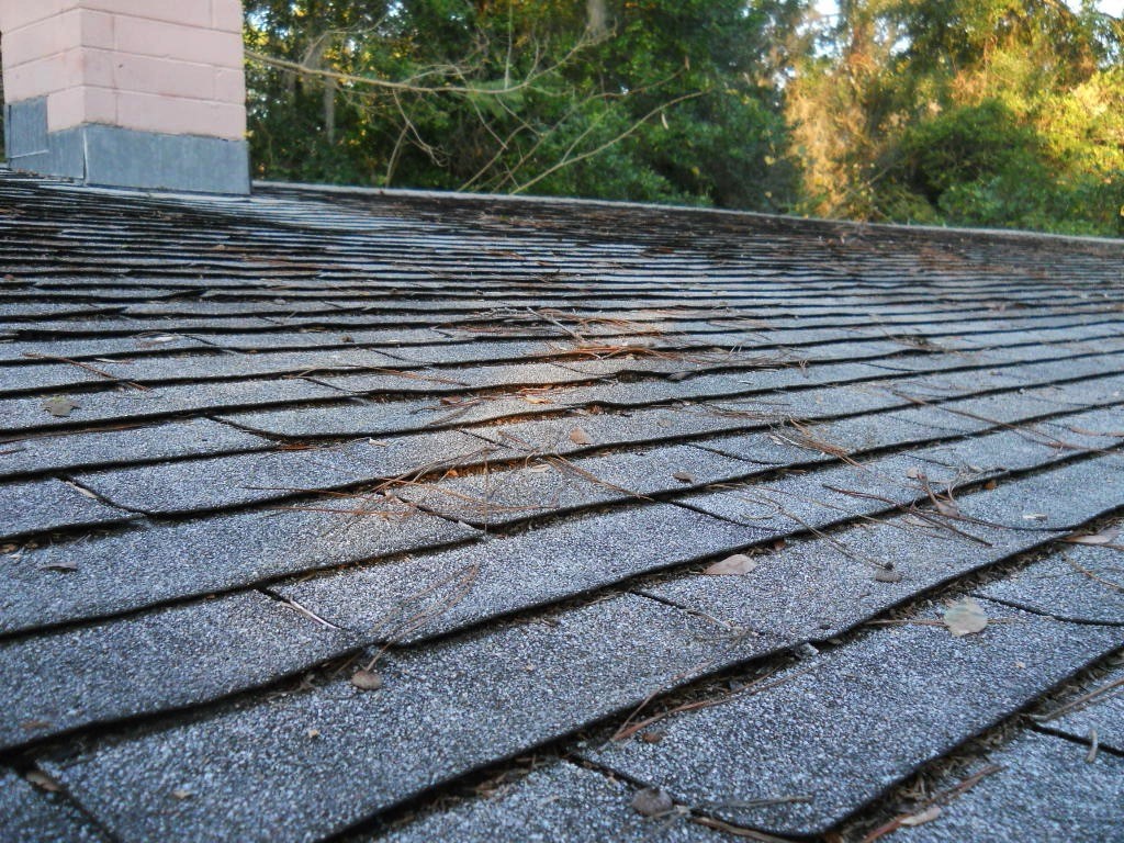 Shingles with damage and Curled Edges