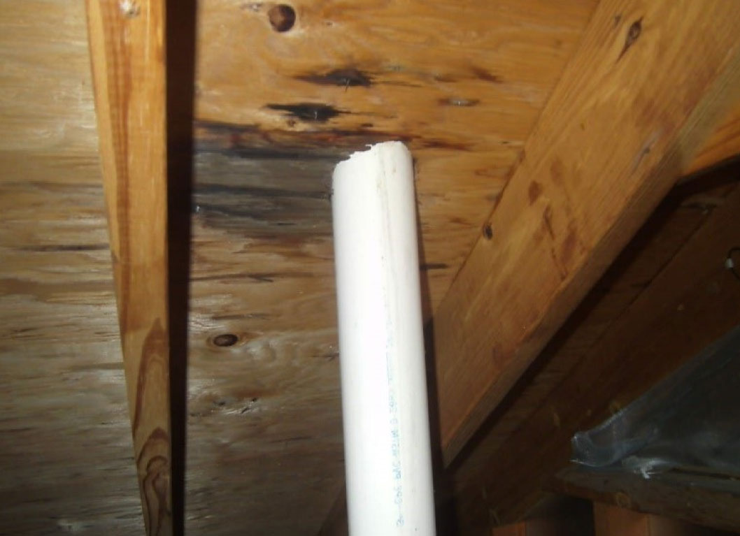 roof leak into attic space