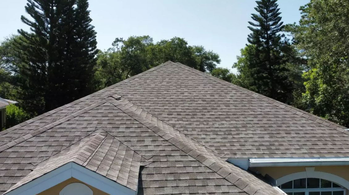 asphalt shingle roof