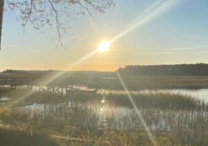 sunny marsh views in hilton head island
