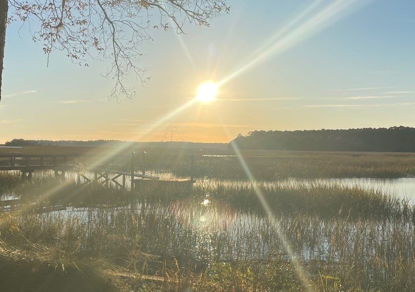 sunny marsh views in hilton head island