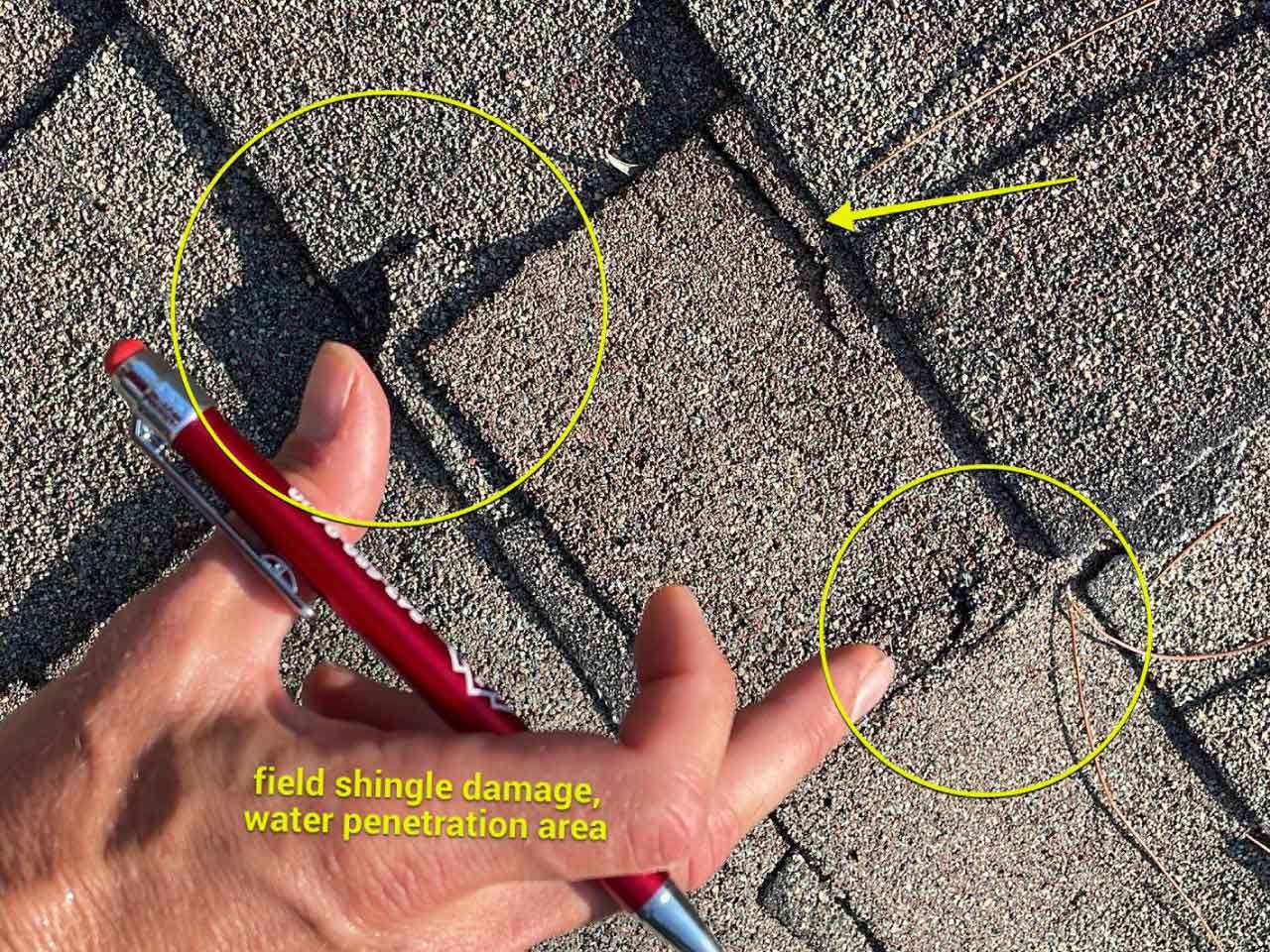 roof inspection